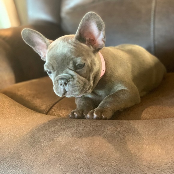 Meet your Posher, Megan - Picture 3 of 6